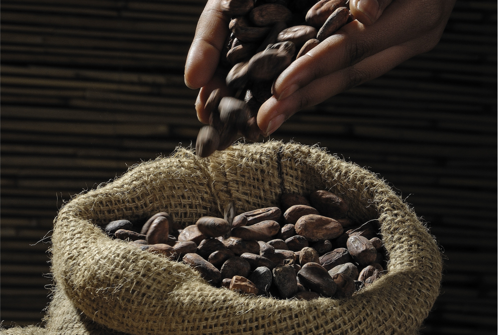 Cabanga Voices #024 | Nigerian decides to Change the Coffee Game in Africa
