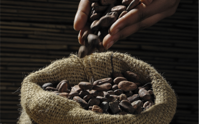 Cabanga Voices #024 | Nigerian decides to Change the Coffee Game in Africa